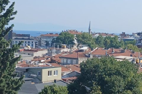 6+5 Villa i istanbul, Turkiet Nr. 228952 - 2
