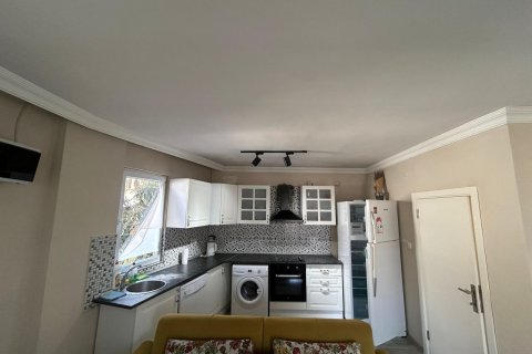 1+1 Wohnung  in Alanya, Antalya, Türkei Nr. 222216 - 4