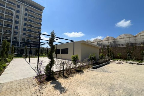 Продажа квартиры  в Демирташе, Аланье, Анталье, Турция 2 комн., 52м2, №227872 – фото 11