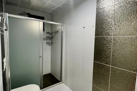 4+1 Wohnung in Kestel, Antalya, Türkei Nr. 232166 - 14