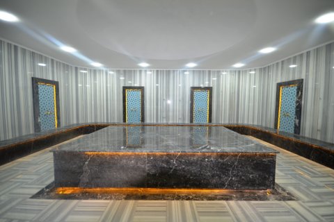 3+1 Lägenhet i Alanya, Antalya, Turkiet Nr. 156796 - 11