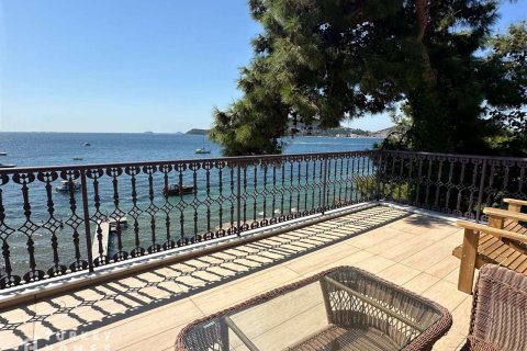 Продажа виллы  в Стамбуле, Турция 5+1, 417м2, №233236 – фото 2