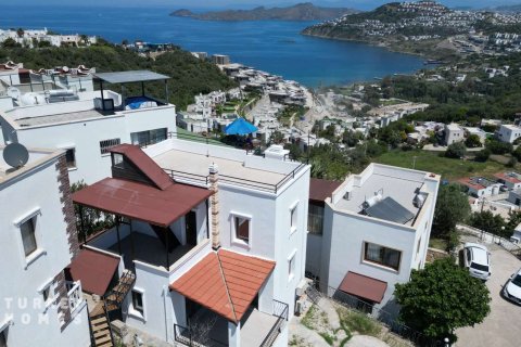 3+1 Villa i Gumusluk, Mugla, Tyrkia Nr. 233087 - 10