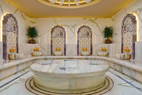 2+1 Lejlighed  i Alanya, Antalya, Tyrkiet Nr. 219566 - 16