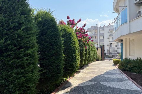 1+0 Leilighet i Antalya, Tyrkia Nr. 238021 - 15