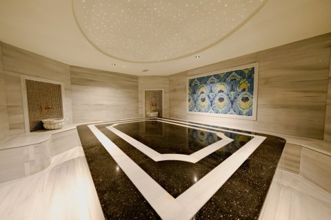 1+1 Leilighet  i Alanya, Antalya, Tyrkia Nr. 224715 - 15