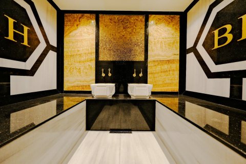 1+1 Leilighet  i Alanya, Antalya, Tyrkia Nr. 224715 - 21