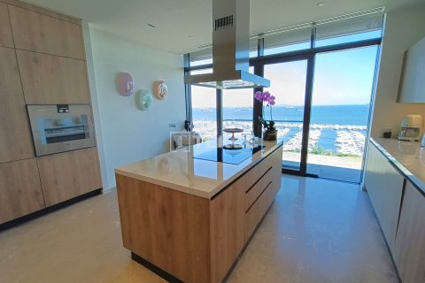 3+1 Leilighet i Istanbul, Tyrkia Nr. 226747 - 20
