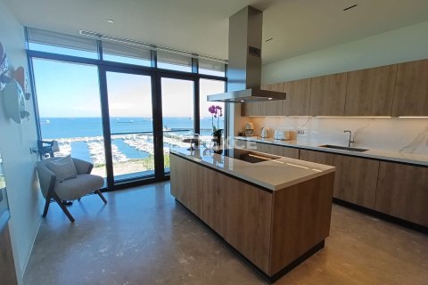3+1 Leilighet i Istanbul, Tyrkia Nr. 226747 - 17