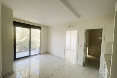 آپارتمان در Alanya ، ترکیه 1 خوابه ، 50 متر مربع. شماره 237699 - 11