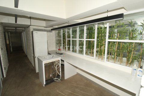 Büro in Istanbul, Türkei Nr. 215251 - 24