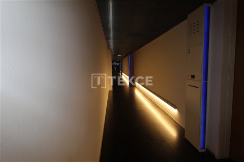 Office for rent  in Istanbul, Turkey, studio, 400m2, No. 215251 – photo 8