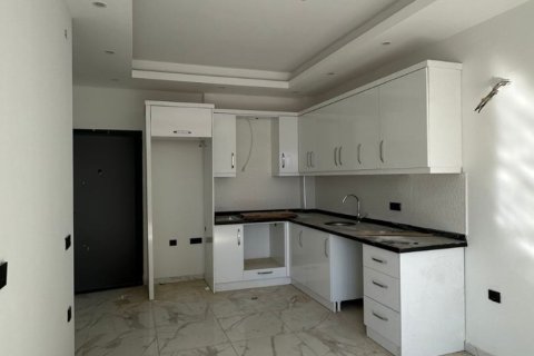 1+1 Wohnung  in Alanya, Antalya, Türkei Nr. 228243