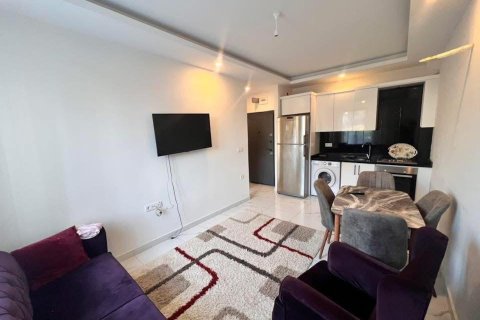 1+1 Wohnung  in Alanya, Antalya, Türkei Nr. 228248