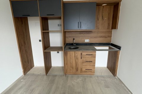 1+1 Wohnung  in Alanya, Antalya, Türkei Nr. 228249