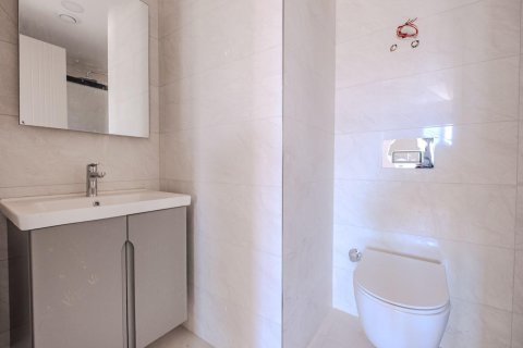 1+0 Wohnung  in Mahmutlar, Antalya, Türkei Nr. 237578 - 6