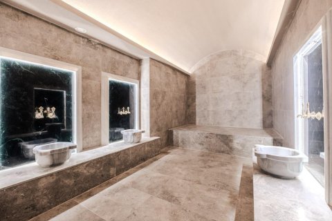 1+0 Wohnung  in Mahmutlar, Antalya, Türkei Nr. 237577 - 13