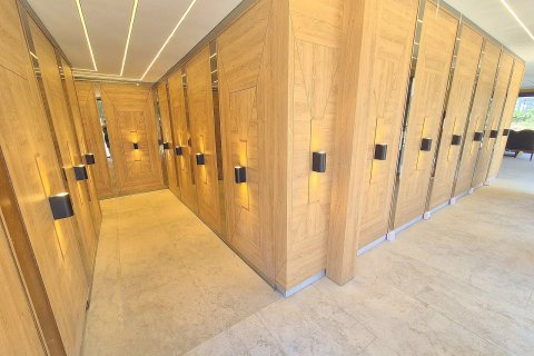 1+0 Wohnung in Mahmutlar, Antalya, Türkei Nr. 227249 - 11