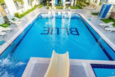 1+1 Wohnung  in Alanya, Antalya, Türkei Nr. 216749 - 8