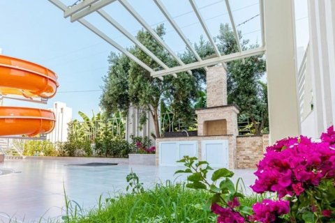 1+1 Wohnung  in Alanya, Antalya, Türkei Nr. 216749 - 12