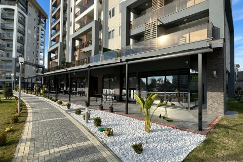1+1 Wohnung  in Alanya, Antalya, Türkei Nr. 216584 - 15