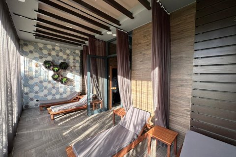 1+1 Wohnung  in Alanya, Antalya, Türkei Nr. 216584 - 18