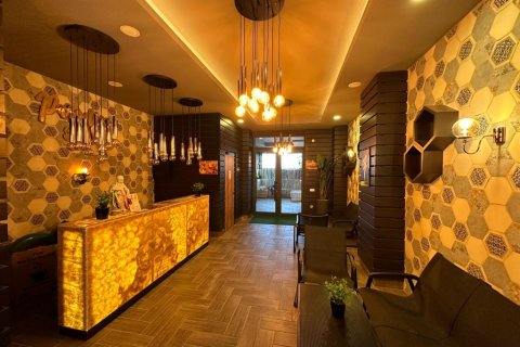 1+1 Wohnung  in Alanya, Antalya, Türkei Nr. 216584 - 3