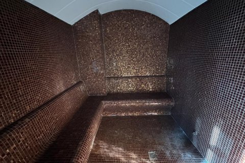 1+1 Wohnung  in Alanya, Antalya, Türkei Nr. 216584 - 2