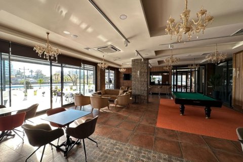 1+1 Wohnung  in Alanya, Antalya, Türkei Nr. 216584 - 11