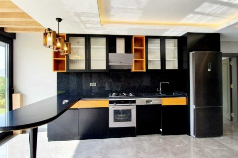 6+2 Villa  i Bektas, Alanya, Antalya, Tyrkia Nr. 213281 - 33