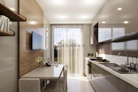 3+1 Wohnung  in Beylikduezue, Istanbul, Türkei Nr. 221725 - 21