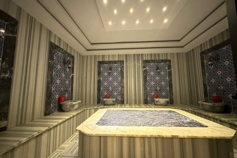 1+1 Lejlighed i Kestel, Antalya, Tyrkiet Nr. 218222 - 12