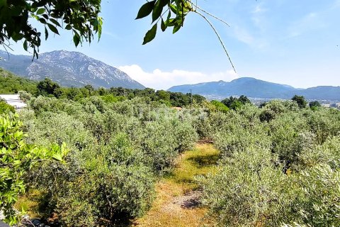 5+1 Villa  in Fethiye, Mugla, Türkei Nr. 226504 - 26