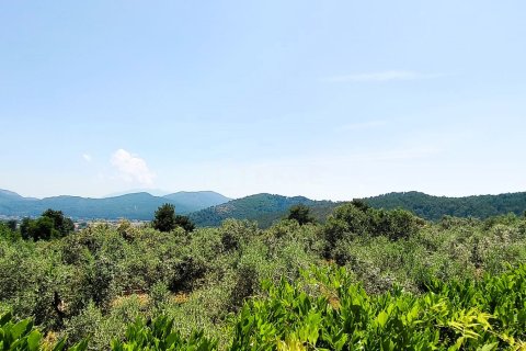 5+1 Villa  in Fethiye, Mugla, Türkei Nr. 226504 - 24