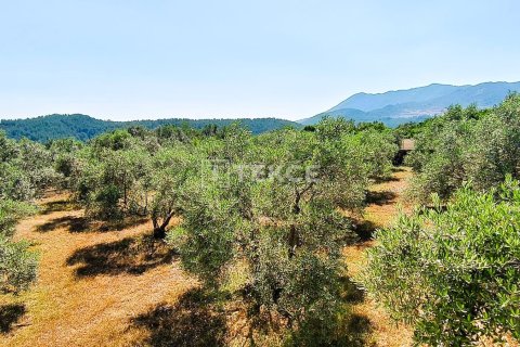 5+1 Villa  in Fethiye, Mugla, Türkei Nr. 226504 - 25
