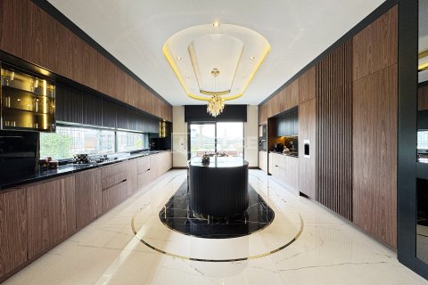 6+2 Villa  i Bueyuekcekmece, Istanbul, Tyrkia Nr. 215699 - 16