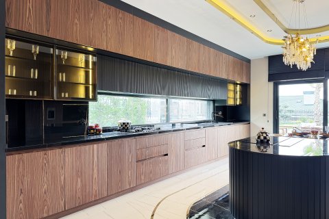 6+2 Villa  i Bueyuekcekmece, Istanbul, Tyrkia Nr. 215699 - 17