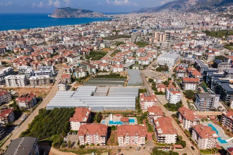 2+1 Lejlighed  i Alanya, Antalya, Tyrkiet Nr. 223770 - 23