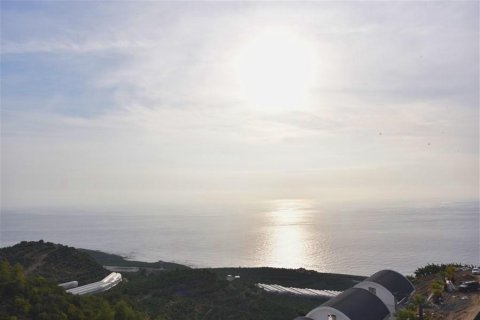 Villa for sale  in Alanya, Antalya, Turkey, 8 bedrooms, 1800m2, No. 217701 – photo 6