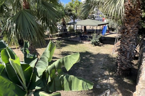 2+1 Lägenhet  i Mahmutlar, Antalya, Turkiet Nr. 217703 - 13