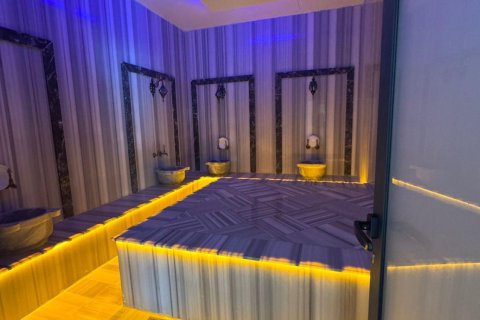 1+1 Lejlighed  i Alanya, Antalya, Tyrkiet Nr. 216769 - 9