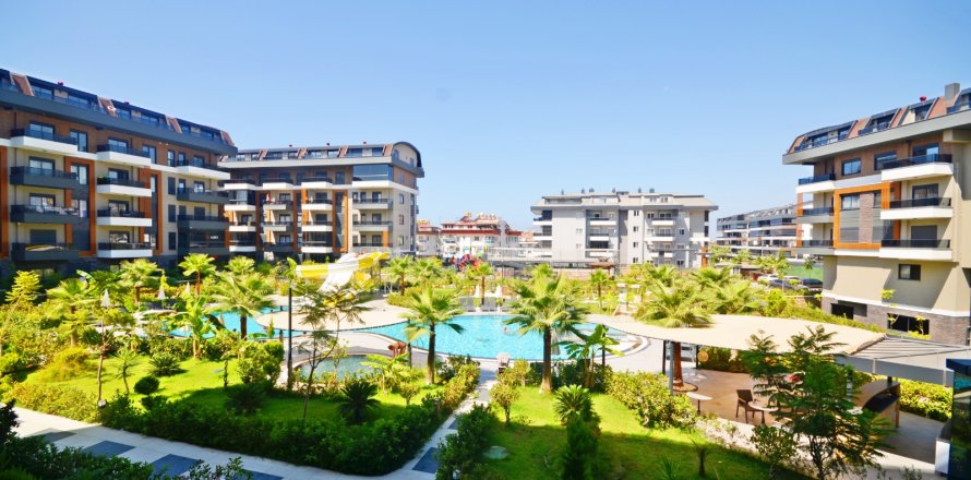 1+1 Wohnung in Alanya, Antalya, Türkei Nr. 216774