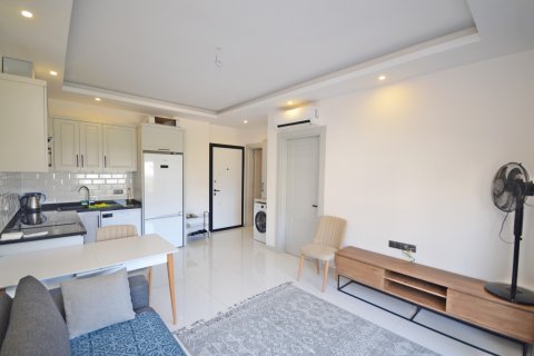 1+1 Wohnung in Alanya, Antalya, Türkei Nr. 216774 - 21