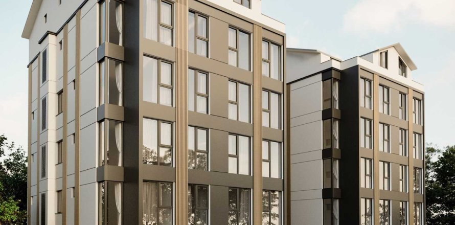 1+1 Apartment in Bursa, Turkey No. 233918