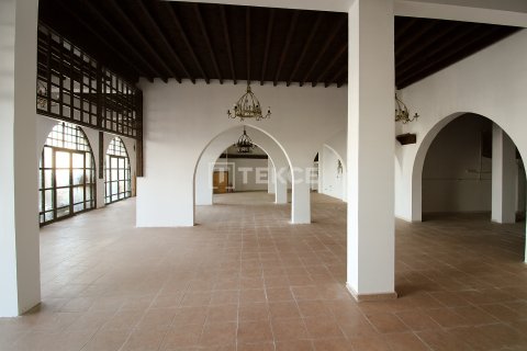 کافه / رستوران در  Girne ، ترکیه 400 متر مربع.  شماره 215132 - 11