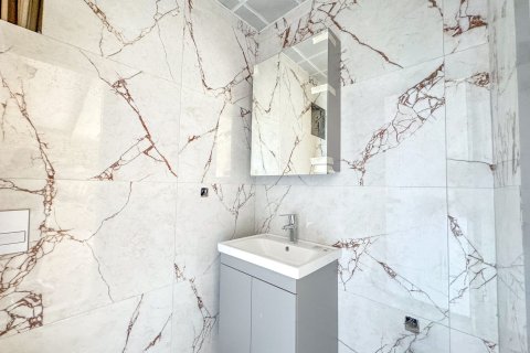 Penthäuser  in Alanya, Antalya, Türkei Nr. 222487 - 25