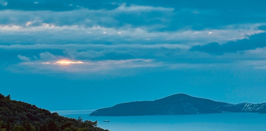 Villa 3+1 Milas, Muğla, Türkiye №217840