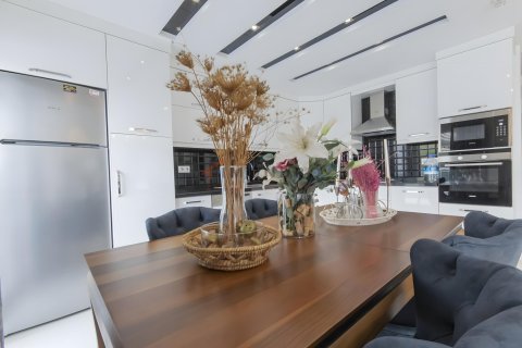 9+1 Villa  in Antalya, Türkei Nr. 214808 - 30