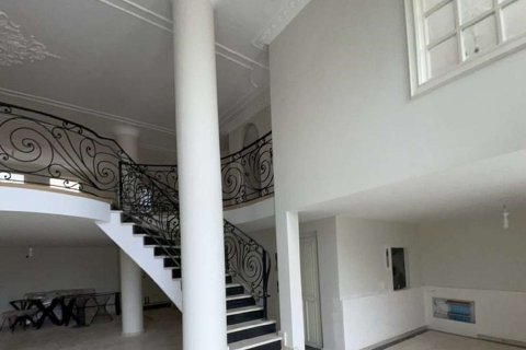 9+1 Villa in Istanbul, Türkei Nr. 233395 - 3