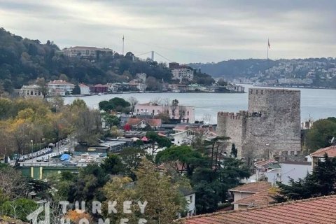 9+1 Villa in Istanbul, Türkei Nr. 233395 - 18